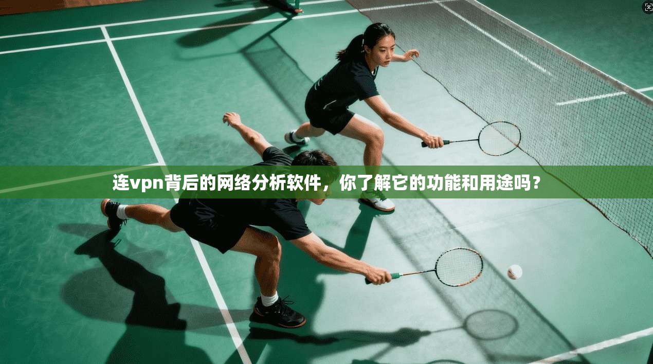 连vpn背后的网络分析软件，你了解它的功能和用途吗？