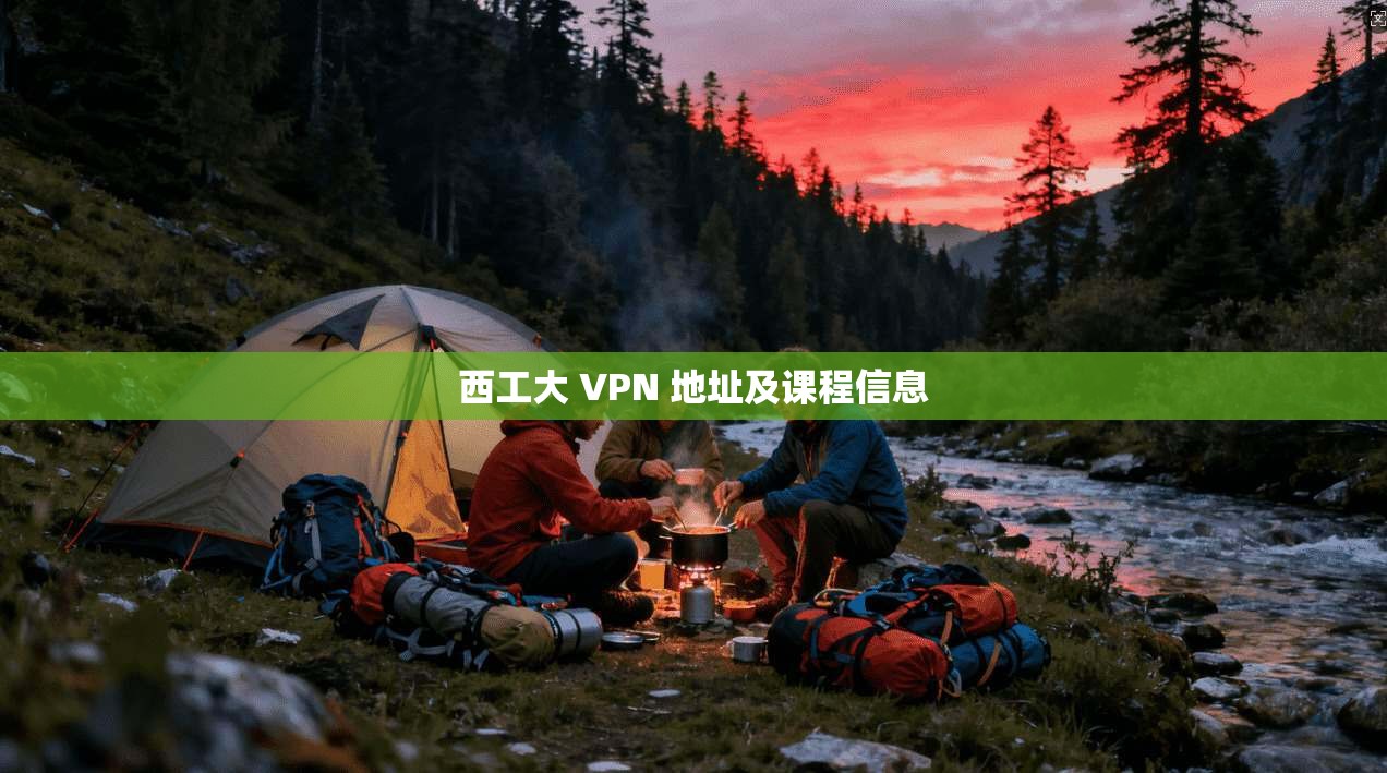 西工大 VPN 地址及课程信息