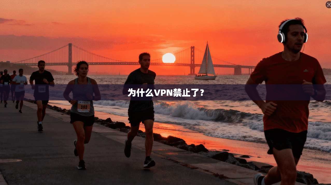 为什么VPN禁止了？