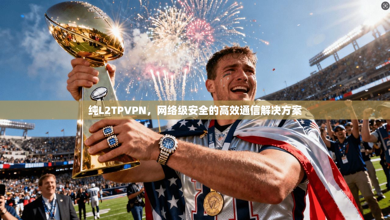 纯L2TPVPN，网络级安全的高效通信解决方案