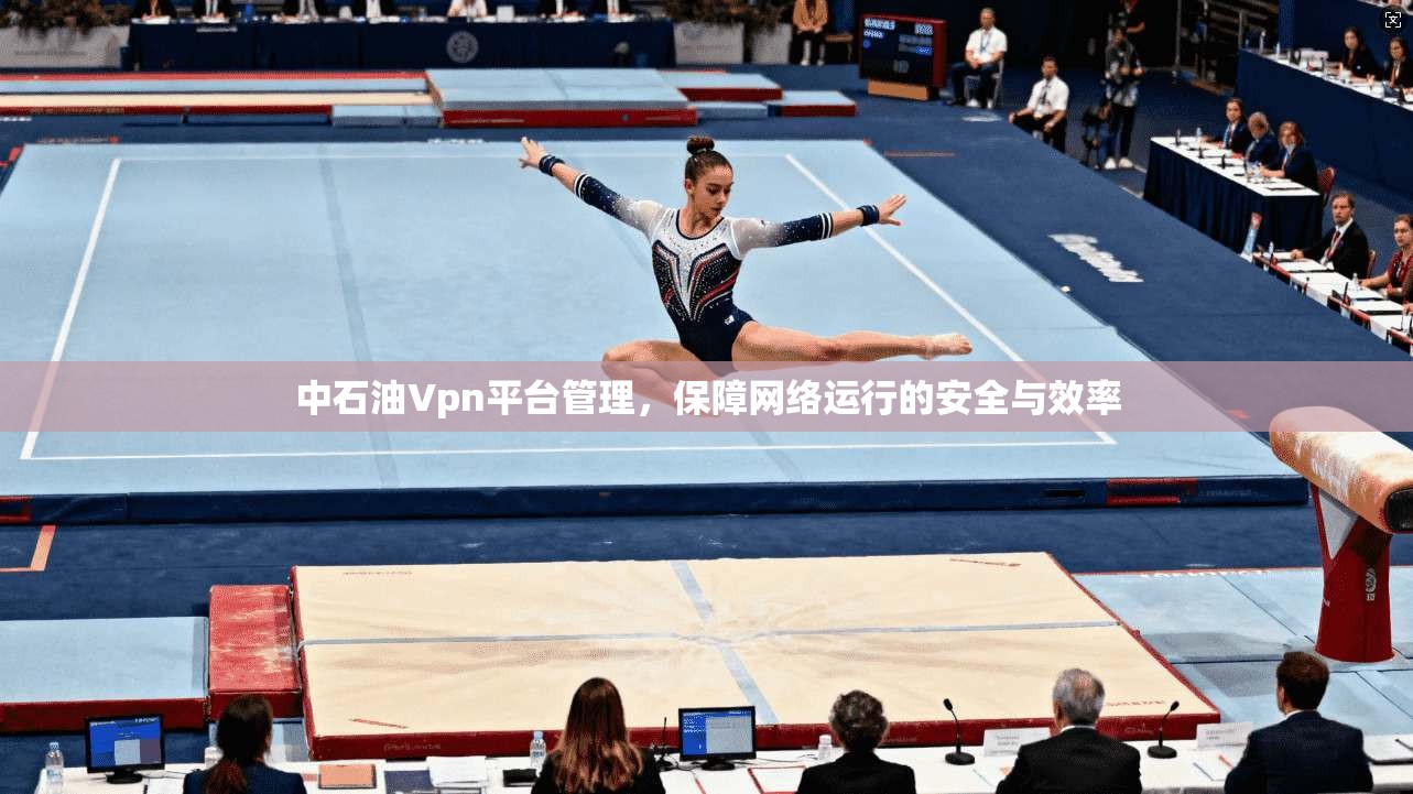 中石油Vpn平台管理，保障网络运行的安全与效率