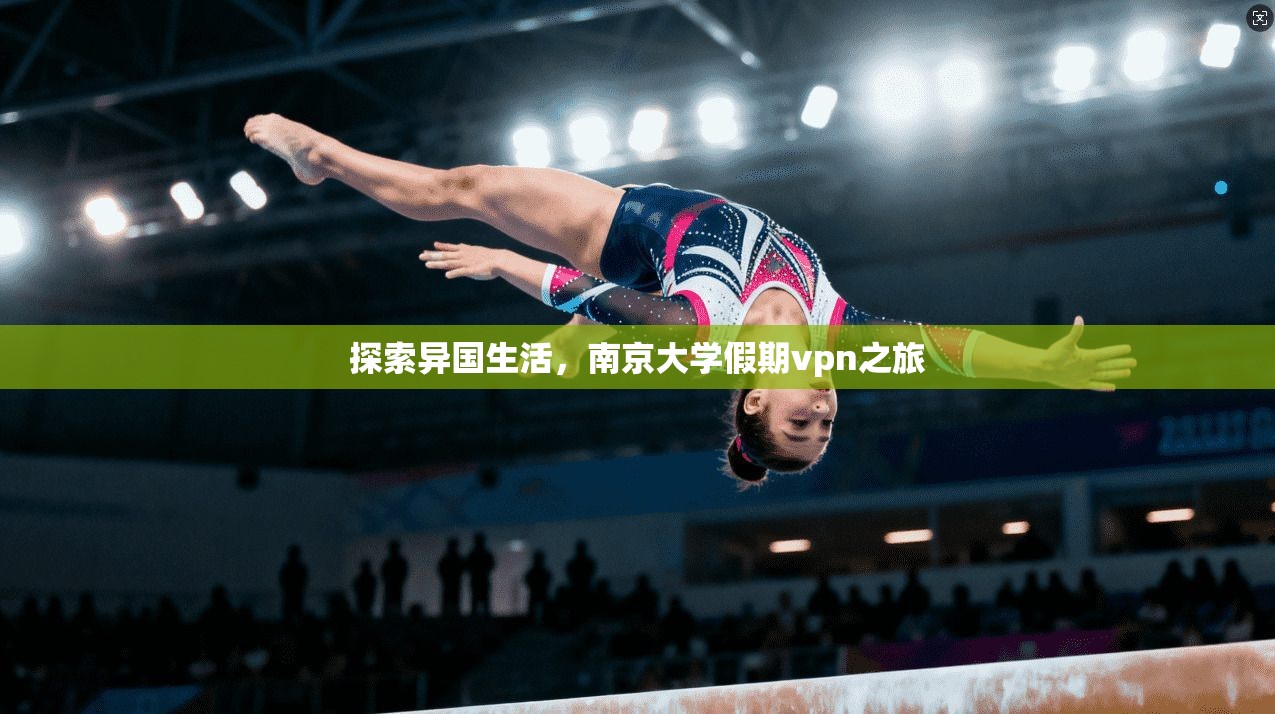 探索异国生活，南京大学假期vpn之旅