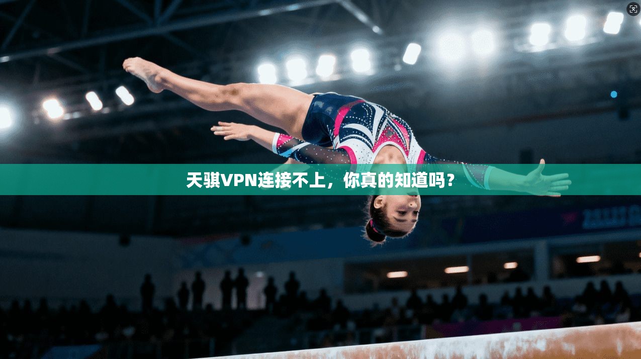 天骐VPN连接不上，你真的知道吗？
