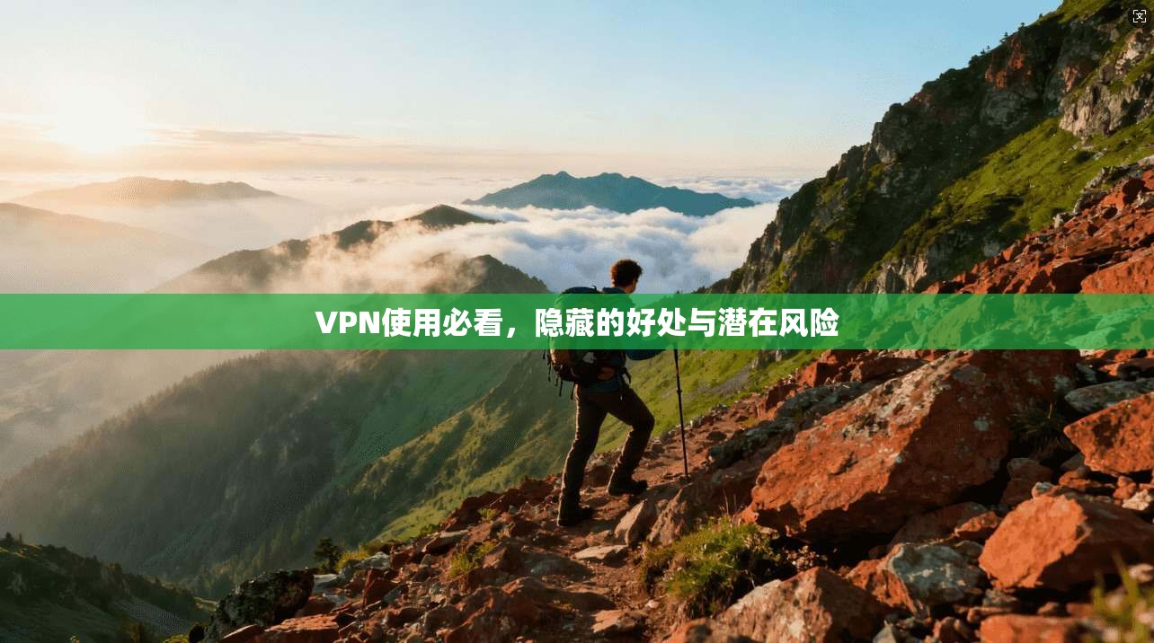 VPN使用必看，隐藏的好处与潜在风险