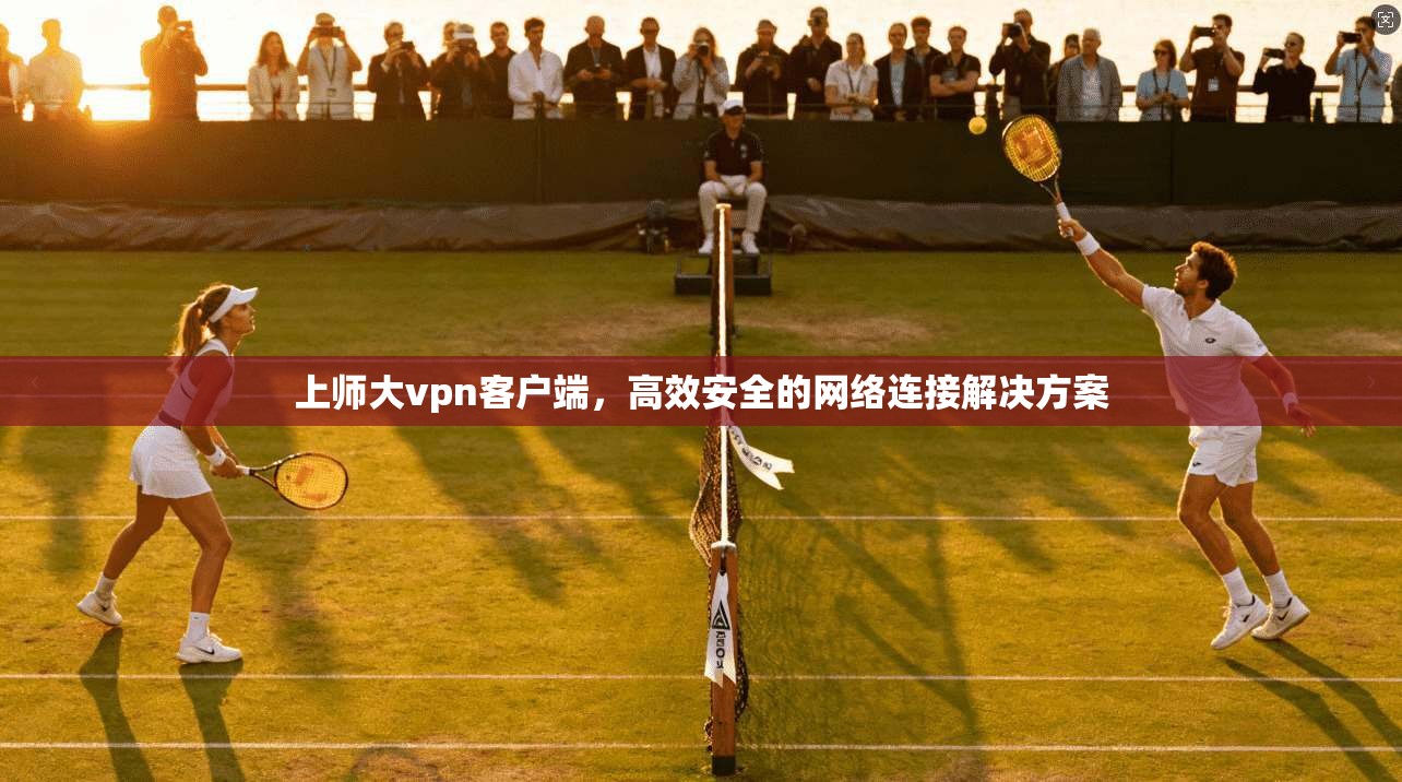 上师大vpn客户端，高效安全的网络连接解决方案