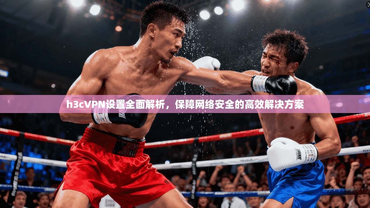 h3cVPN设置全面解析，保障网络安全的高效解决方案