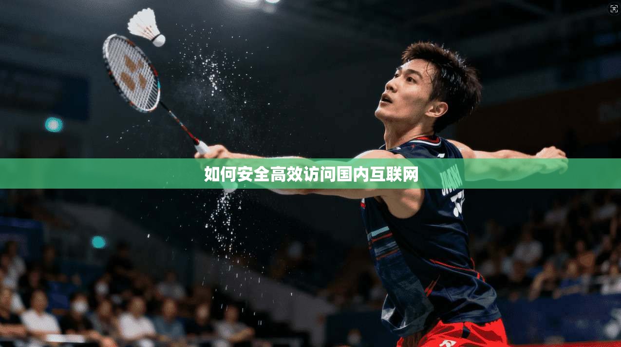 如何安全高效访问国内互联网