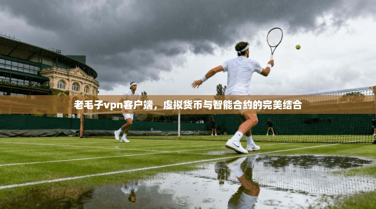 老毛子vpn客户端，虚拟货币与智能合约的完美结合