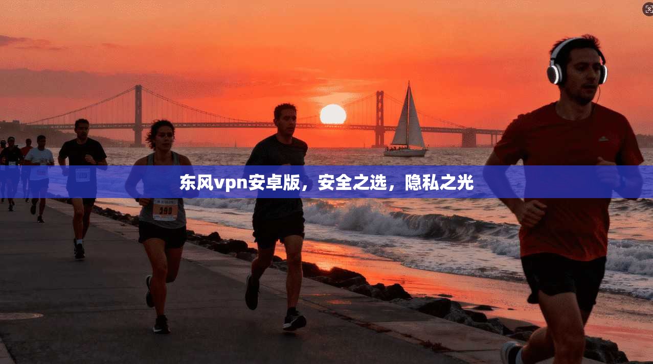 东风vpn安卓版，安全之选，隐私之光