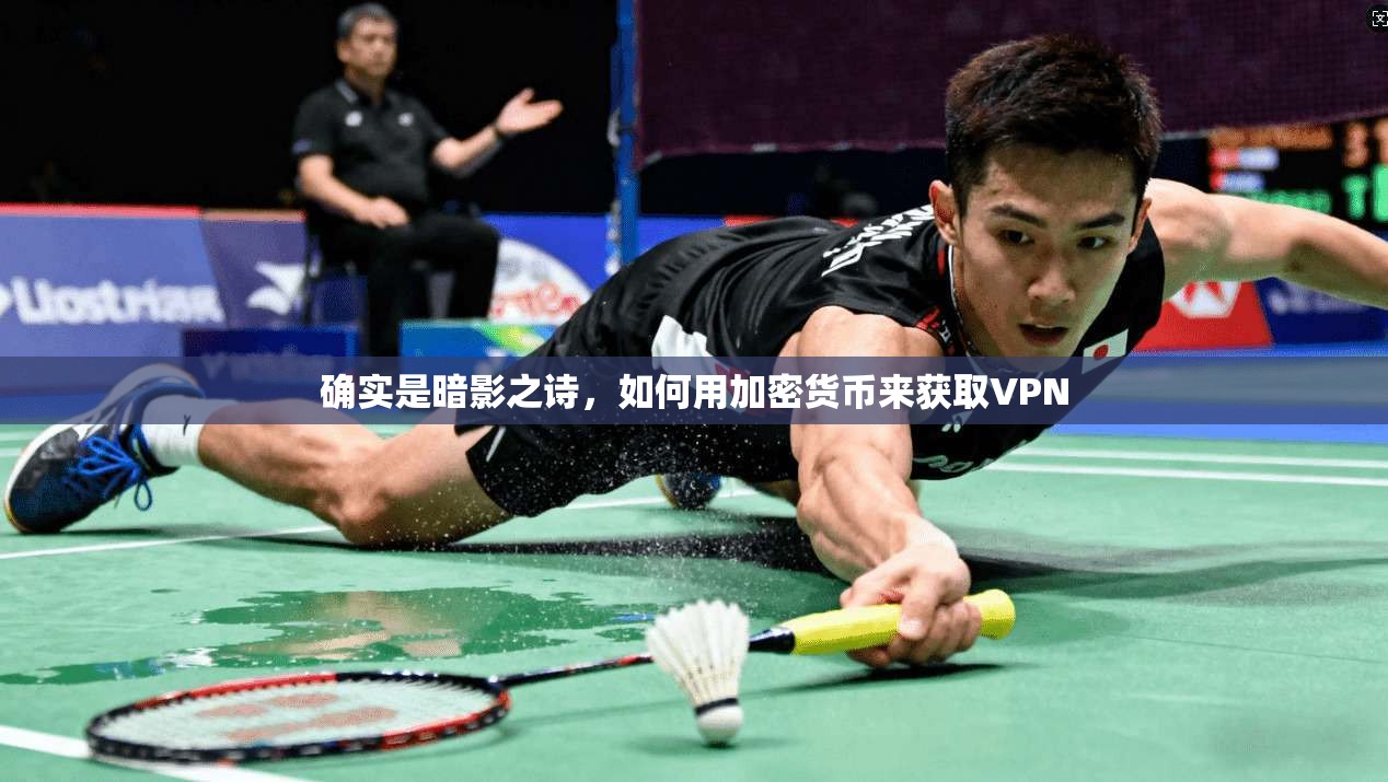 确实是暗影之诗，如何用加密货币来获取VPN