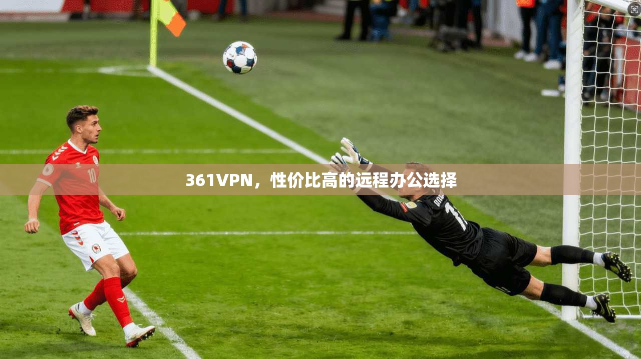 361VPN，性价比高的远程办公选择