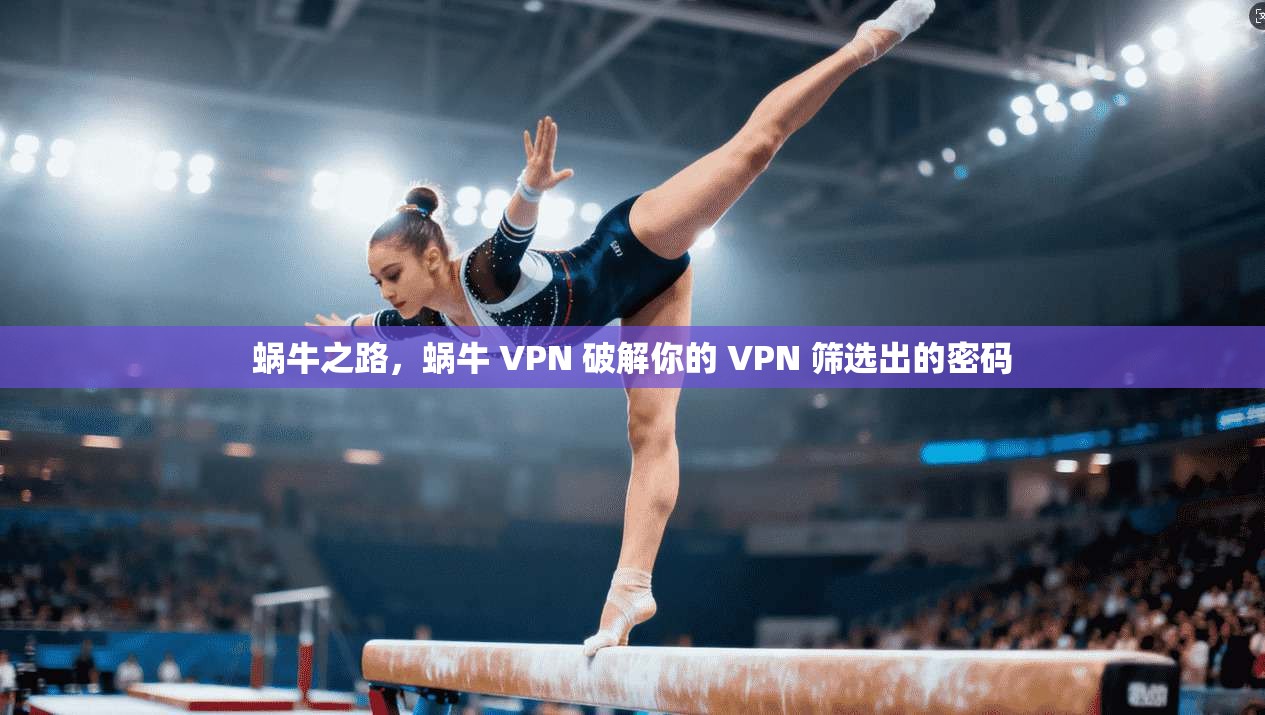 蜗牛之路，蜗牛 VPN 破解你的 VPN 筛选出的密码