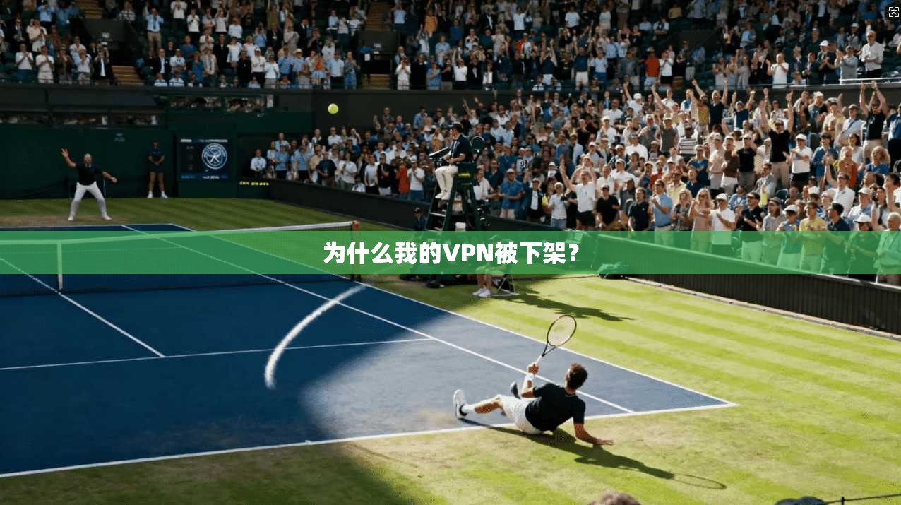 为什么我的VPN被下架？