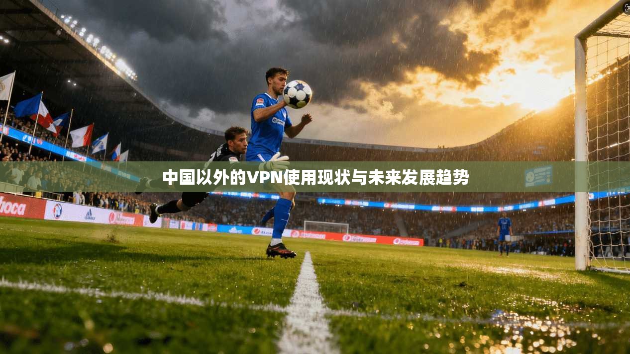 中国以外的VPN使用现状与未来发展趋势