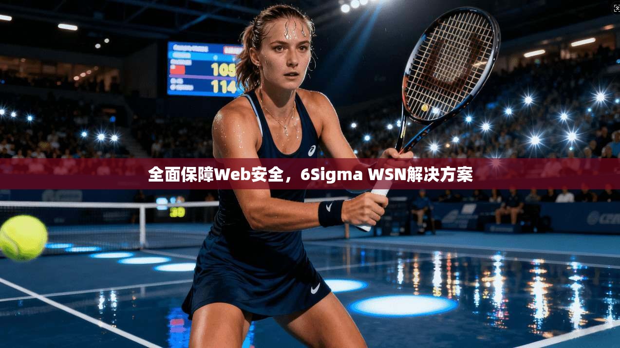 全面保障Web安全，6Sigma WSN解决方案