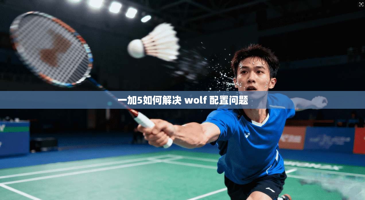 一加5如何解决 wolf 配置问题