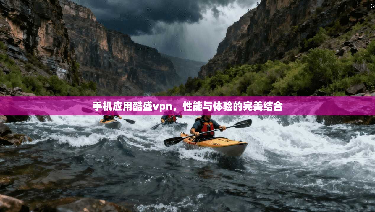 手机应用酷盛vpn，性能与体验的完美结合