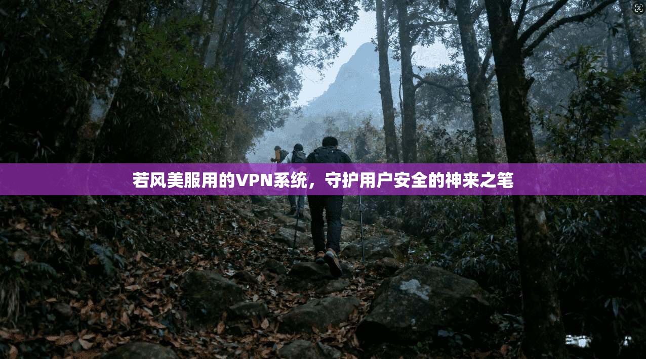 若风美服用的VPN系统，守护用户安全的神来之笔