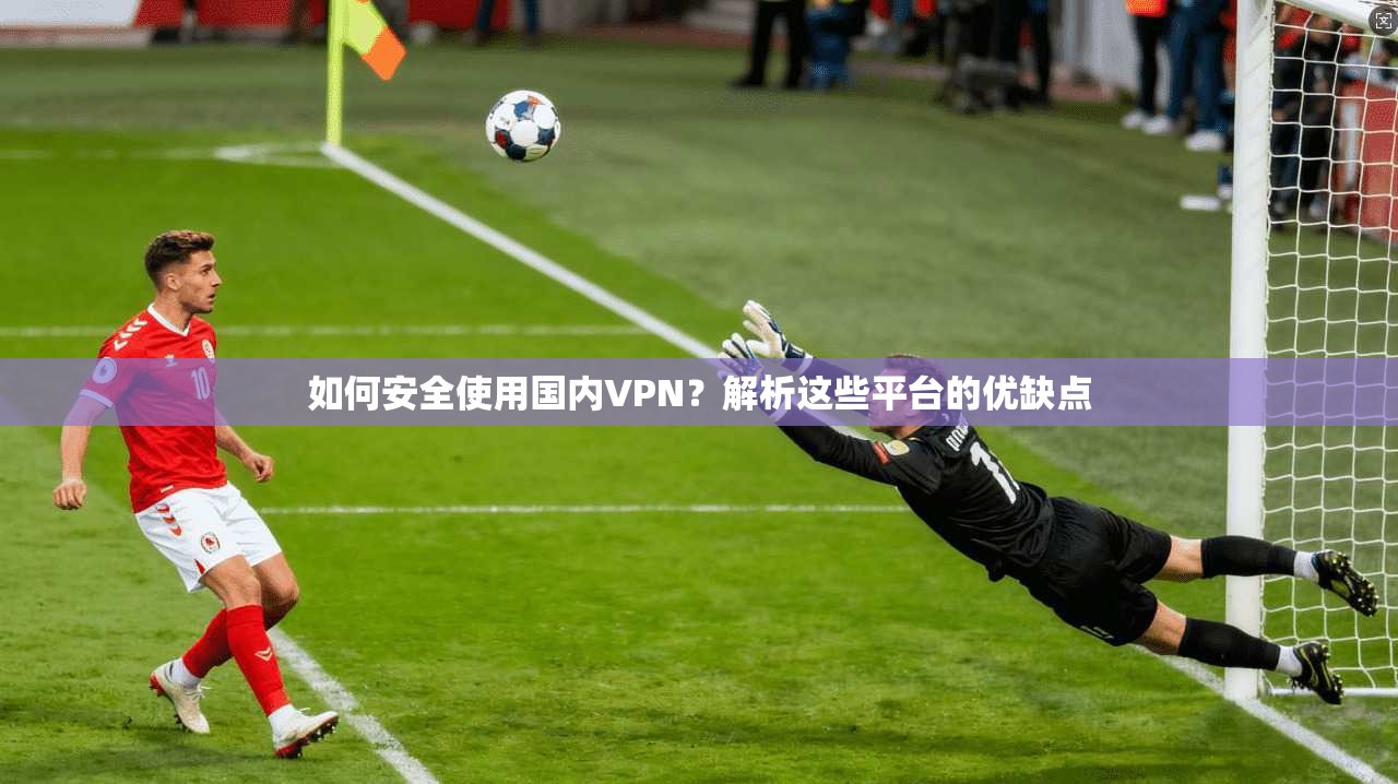 如何安全使用国内VPN？解析这些平台的优缺点