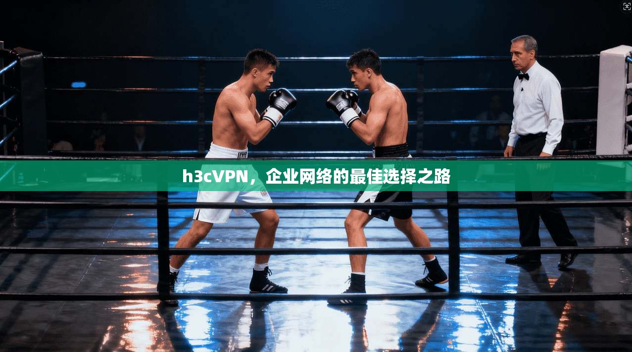 h3cVPN，企业网络的最佳选择之路