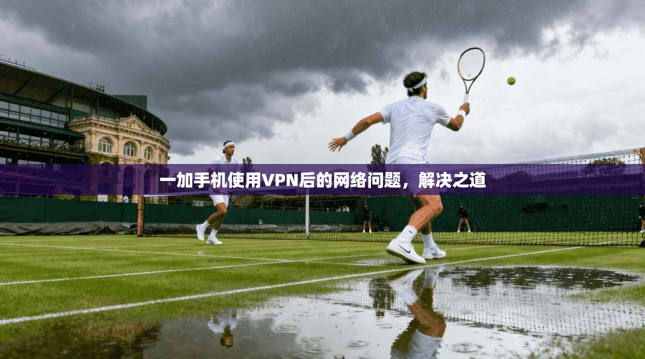 一加手机使用VPN后的网络问题，解决之道