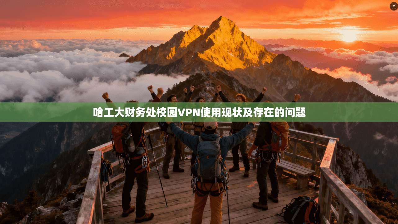 哈工大财务处校园VPN使用现状及存在的问题