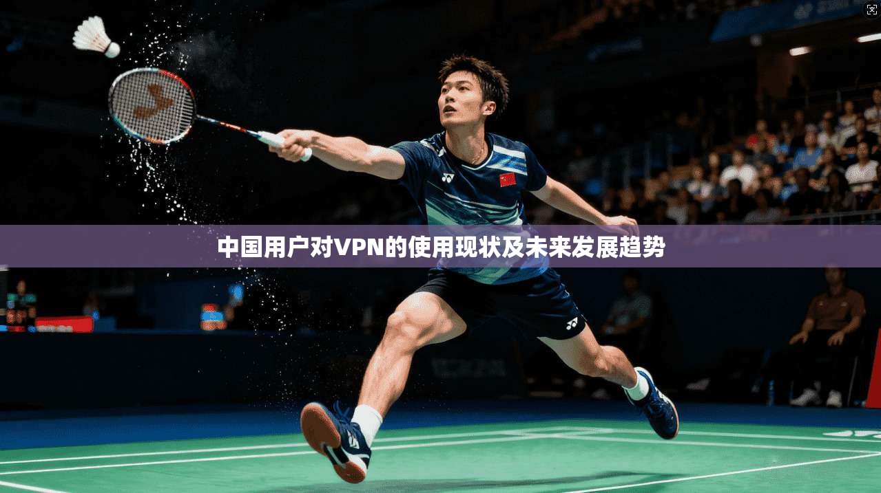 中国用户对VPN的使用现状及未来发展趋势