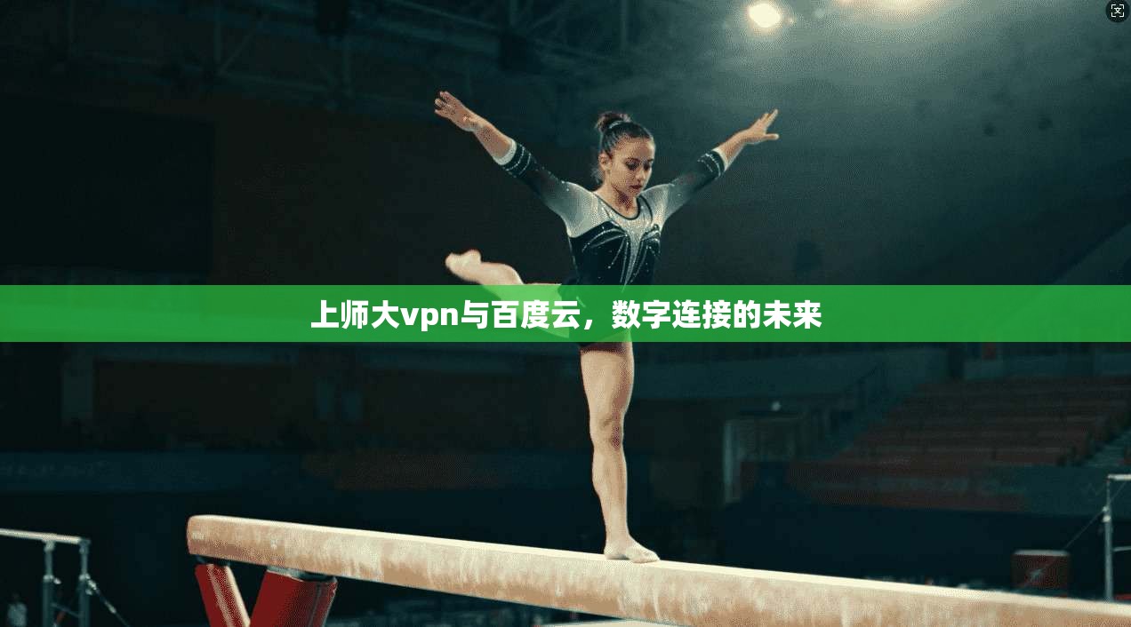 上师大vpn与百度云，数字连接的未来