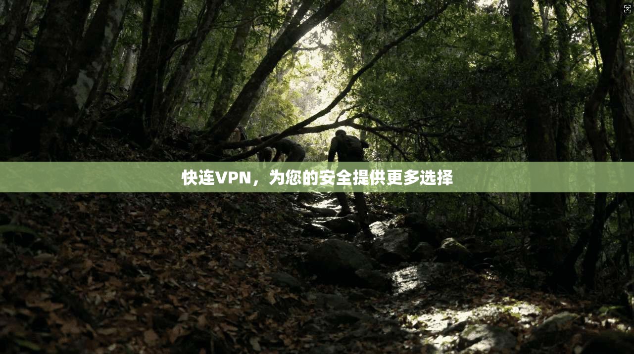 快连VPN，为您的安全提供更多选择