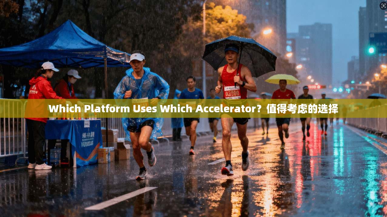 Which Platform Uses Accelerator?值得考虑的选择 第1张 Which Platform Uses Accelerator?值得考虑的选择 第1张