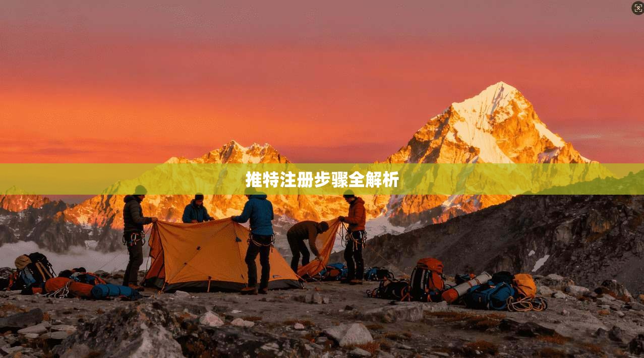 推特注册步骤全解析  第1张