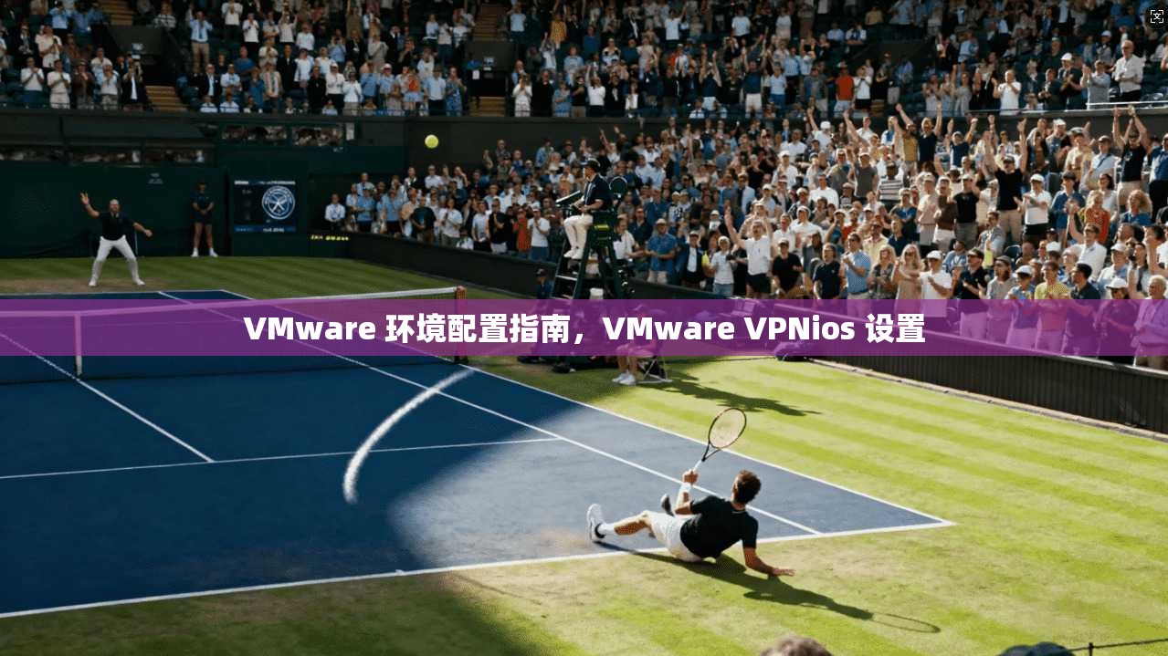 VMware 环境配置指南，VMware VPNios 设置