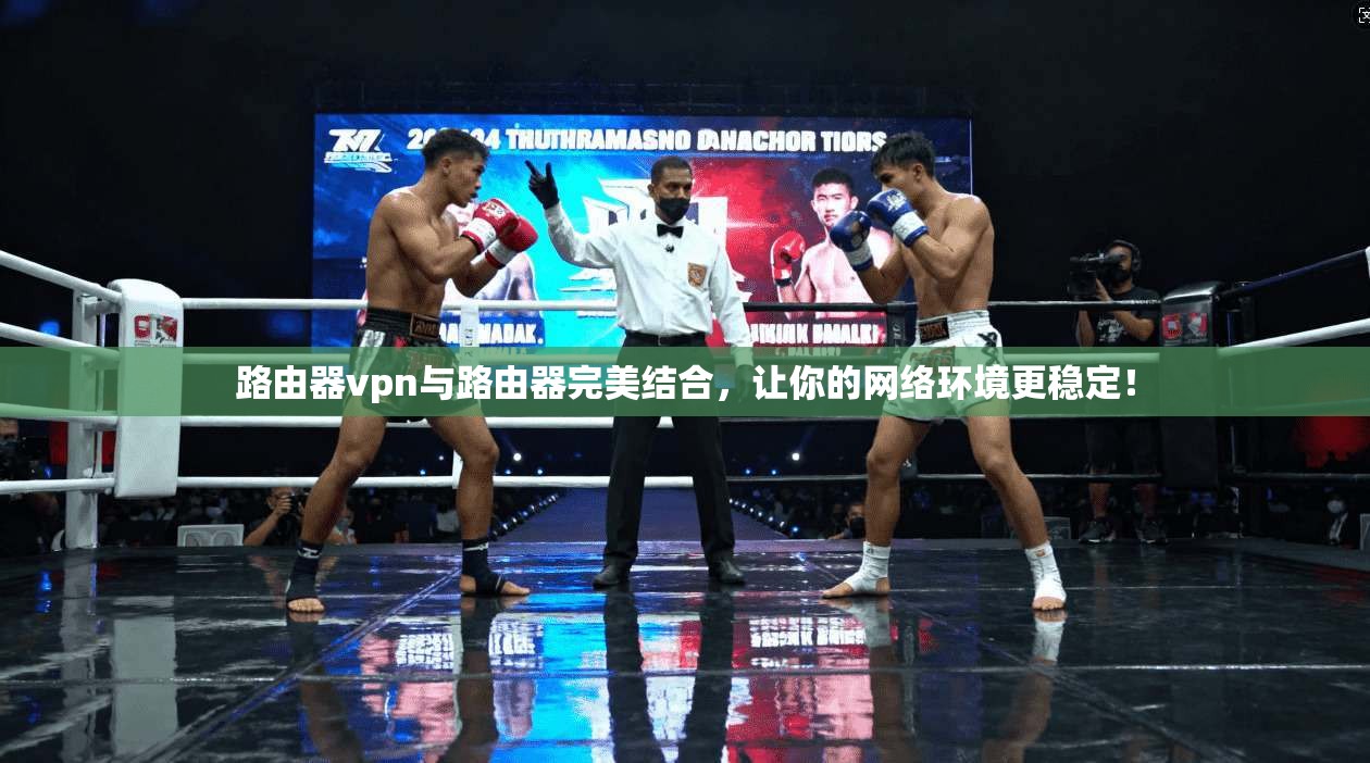 路由器vpn与路由器完美结合，让你的网络环境更稳定！