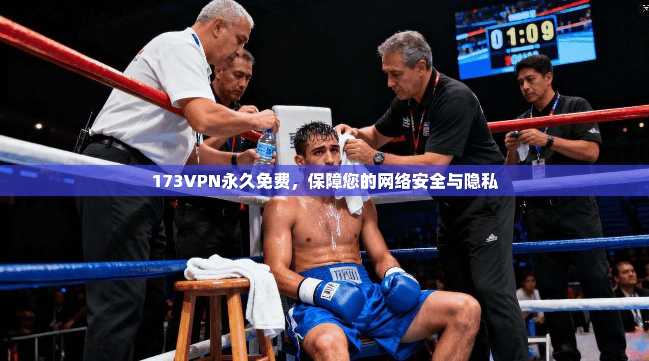 173VPN永久免费，保障您的网络安全与隐私