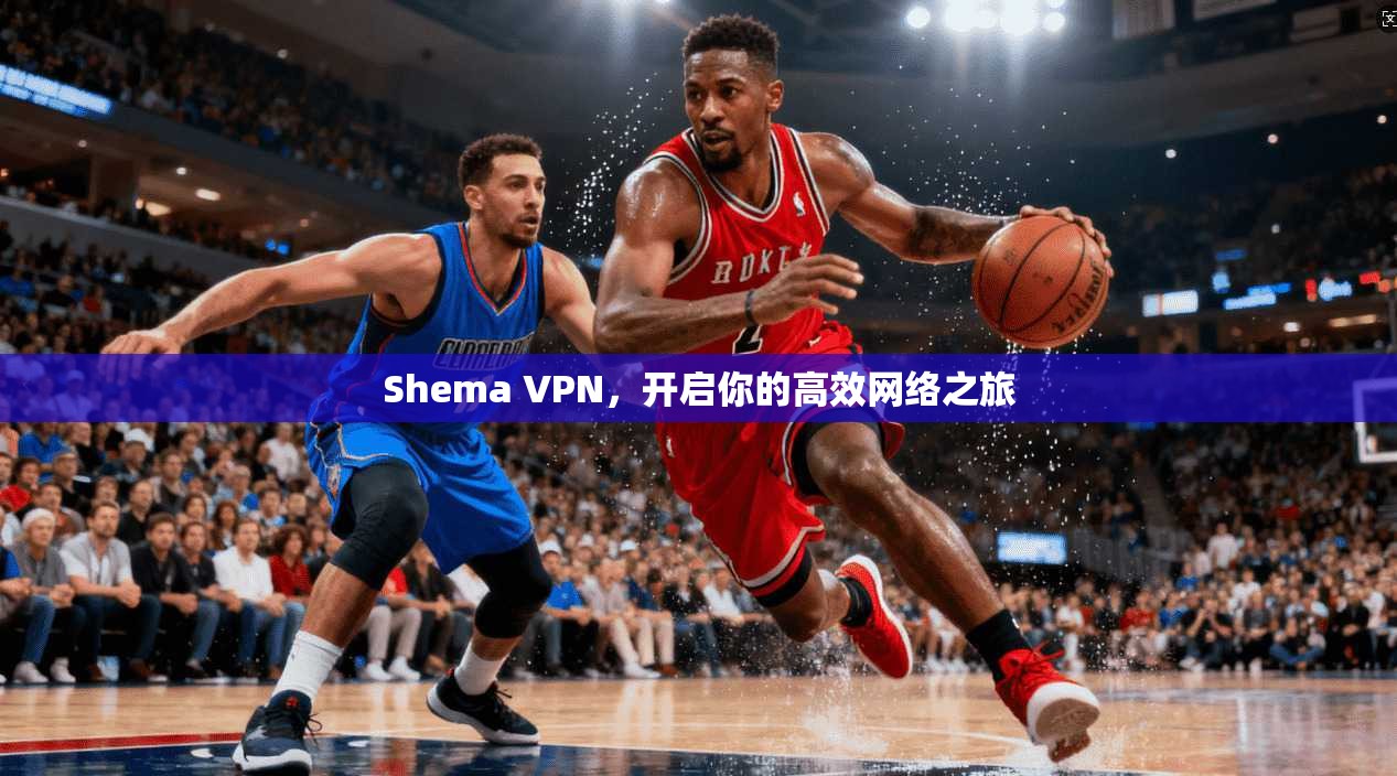 Shema VPN，开启你的高效网络之旅