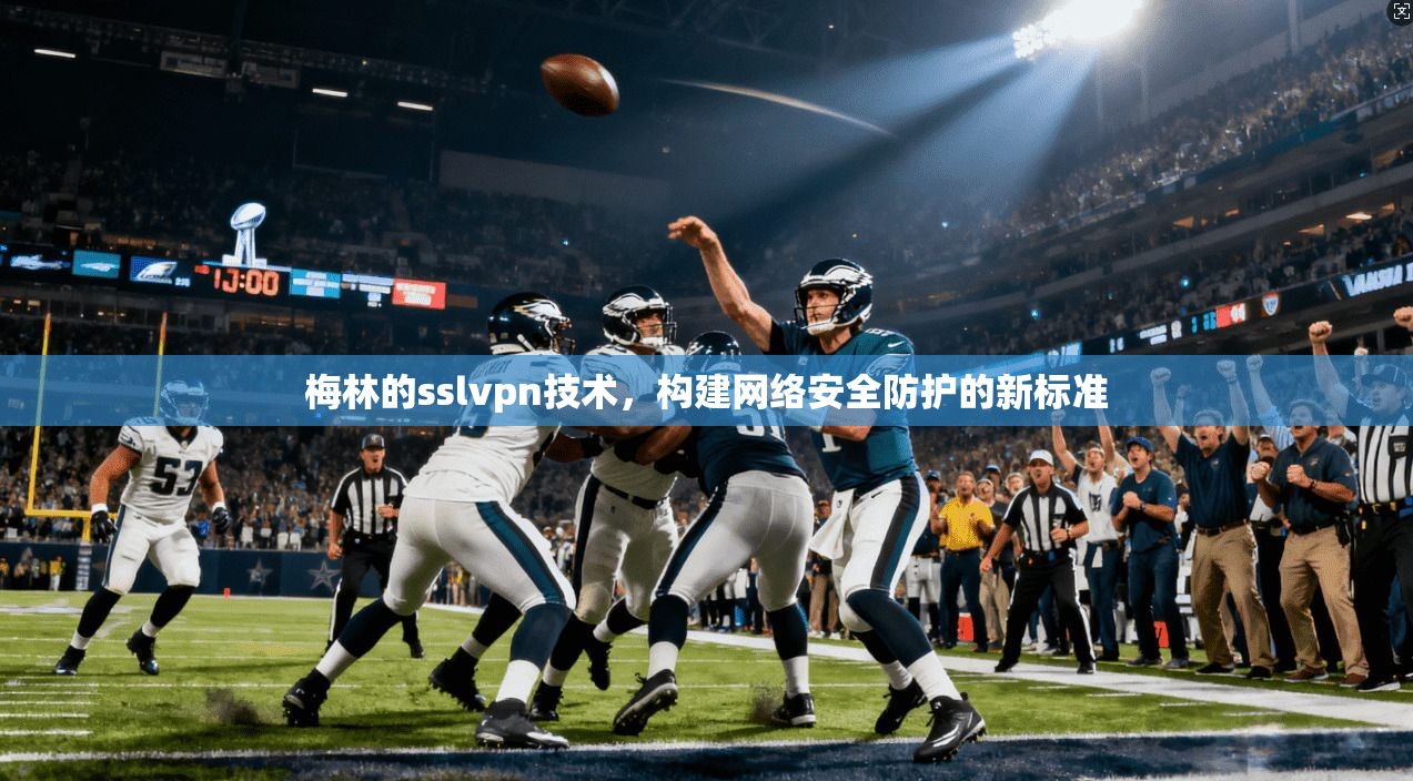 梅林的sslvpn技术，构建网络安全防护的新标准
