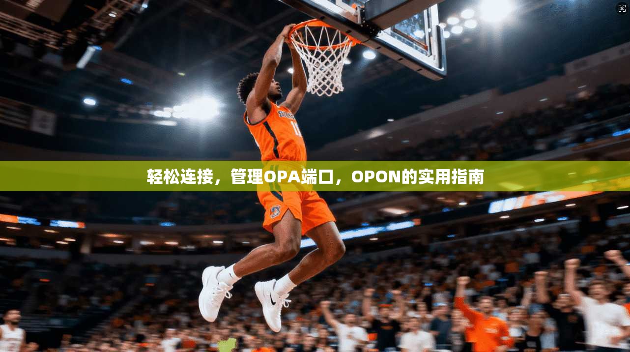 轻松连接，管理OPA端口，OPON的实用指南