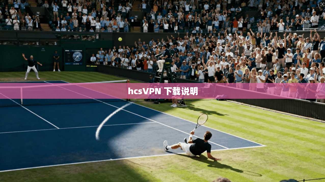 hcsVPN 下载说明