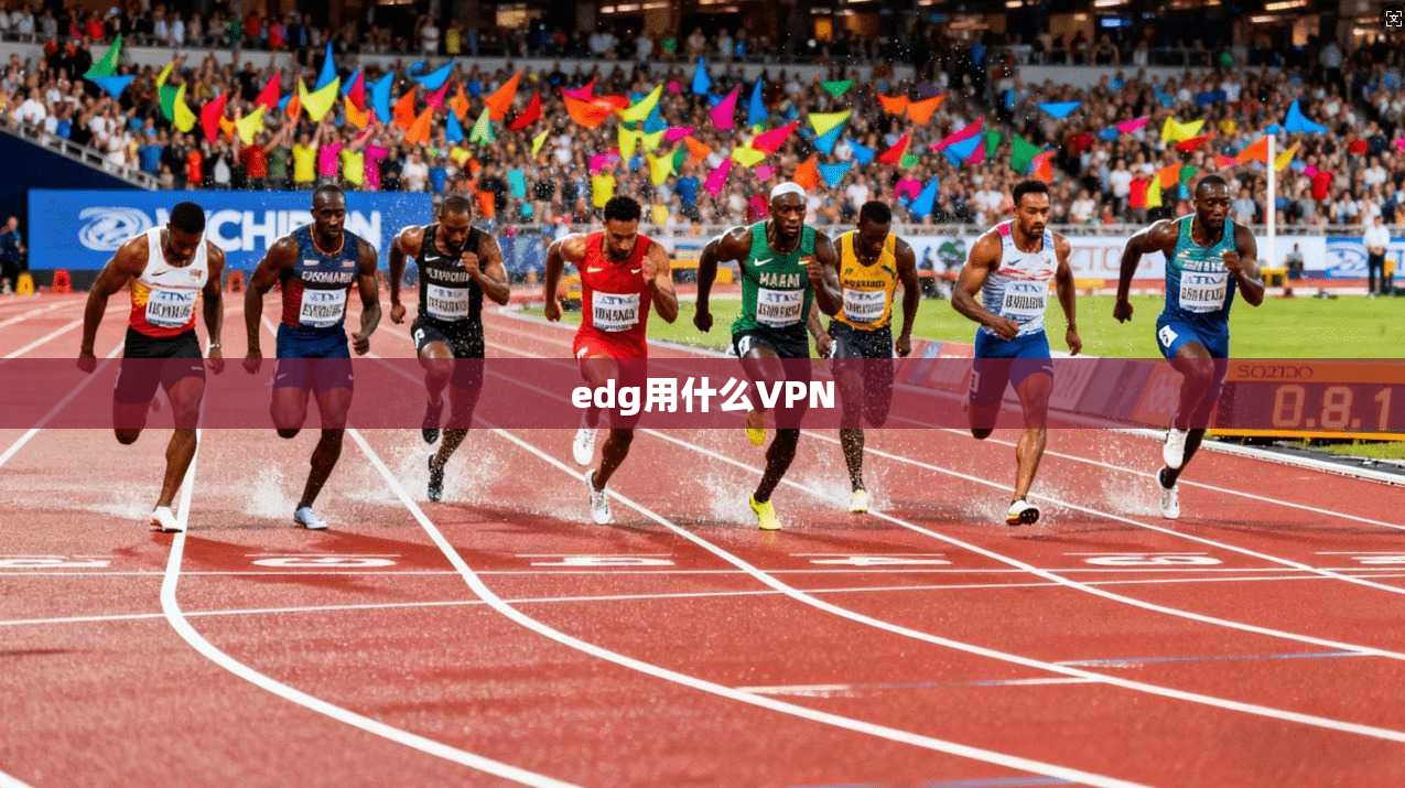 edg用什么VPN