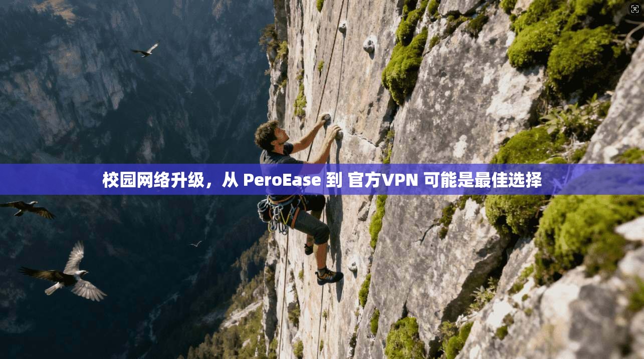 校园网络升级，从 PeroEase 到 官方VPN 可能是最佳选择