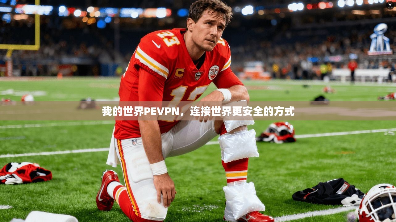 我的世界PEVPN，连接世界更安全的方式