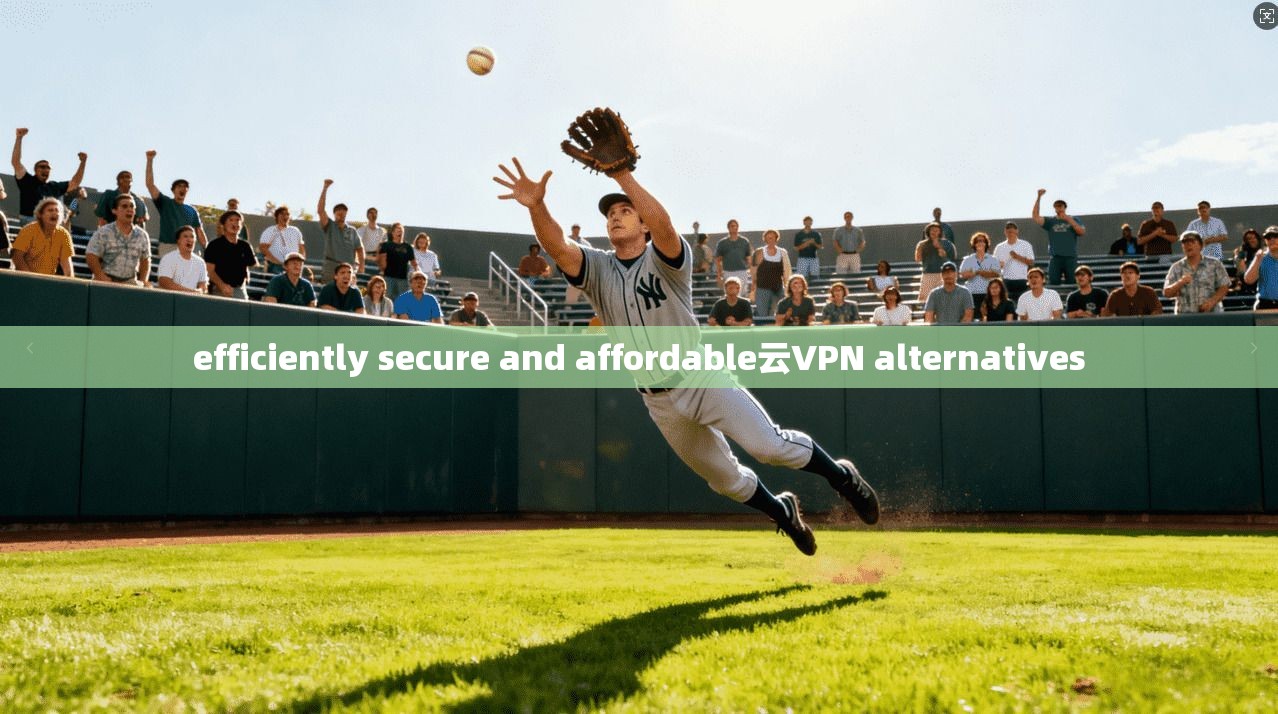 efficiently secure and affordable云VPN alternatives