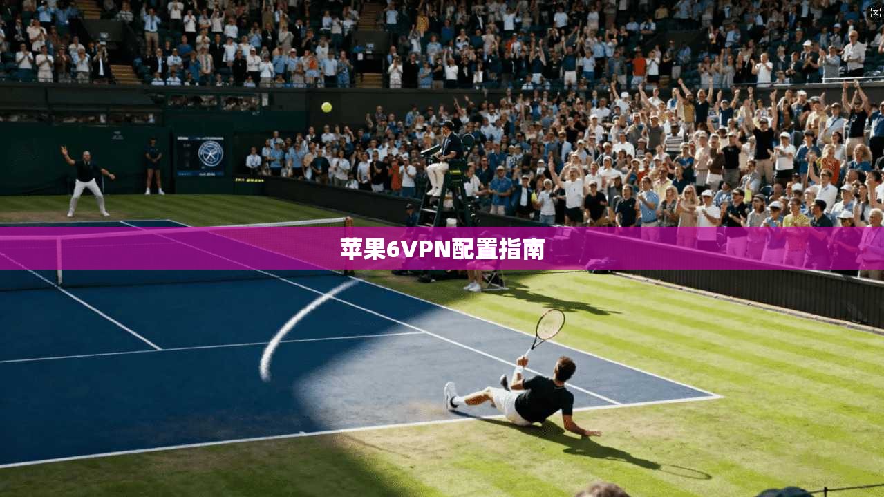 苹果6VPN配置指南
