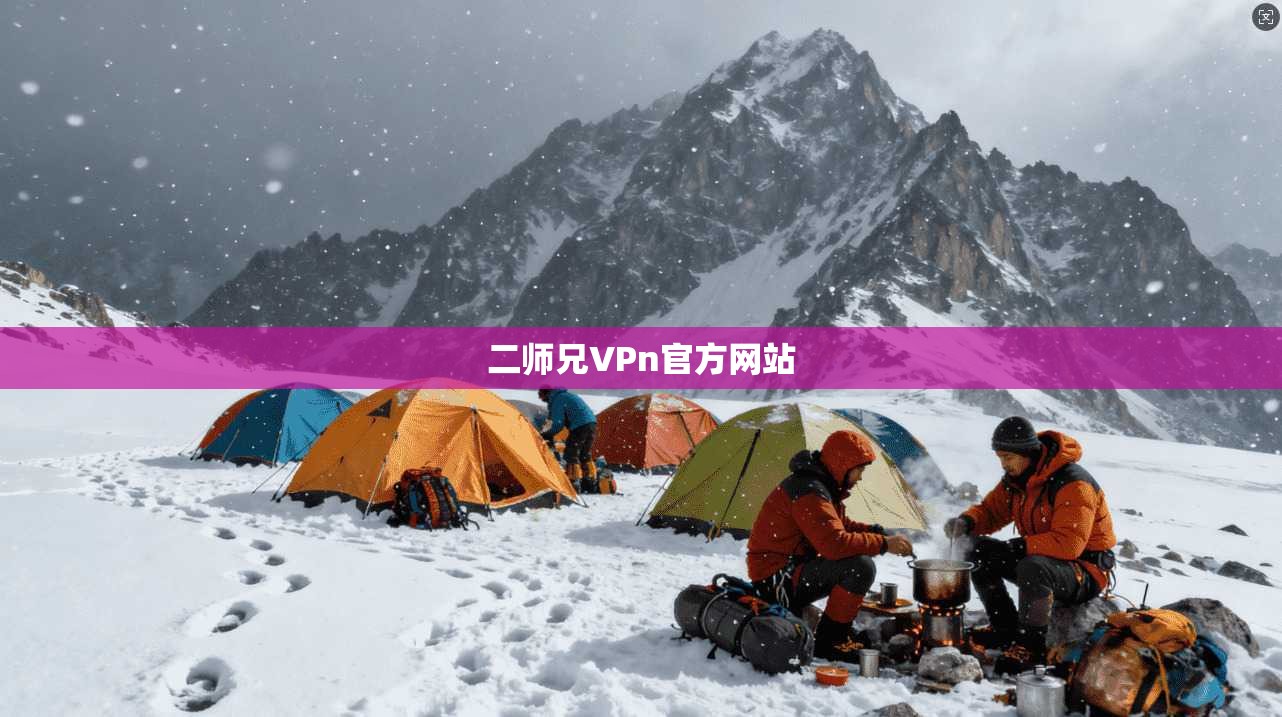 二师兄VPn官方网站
