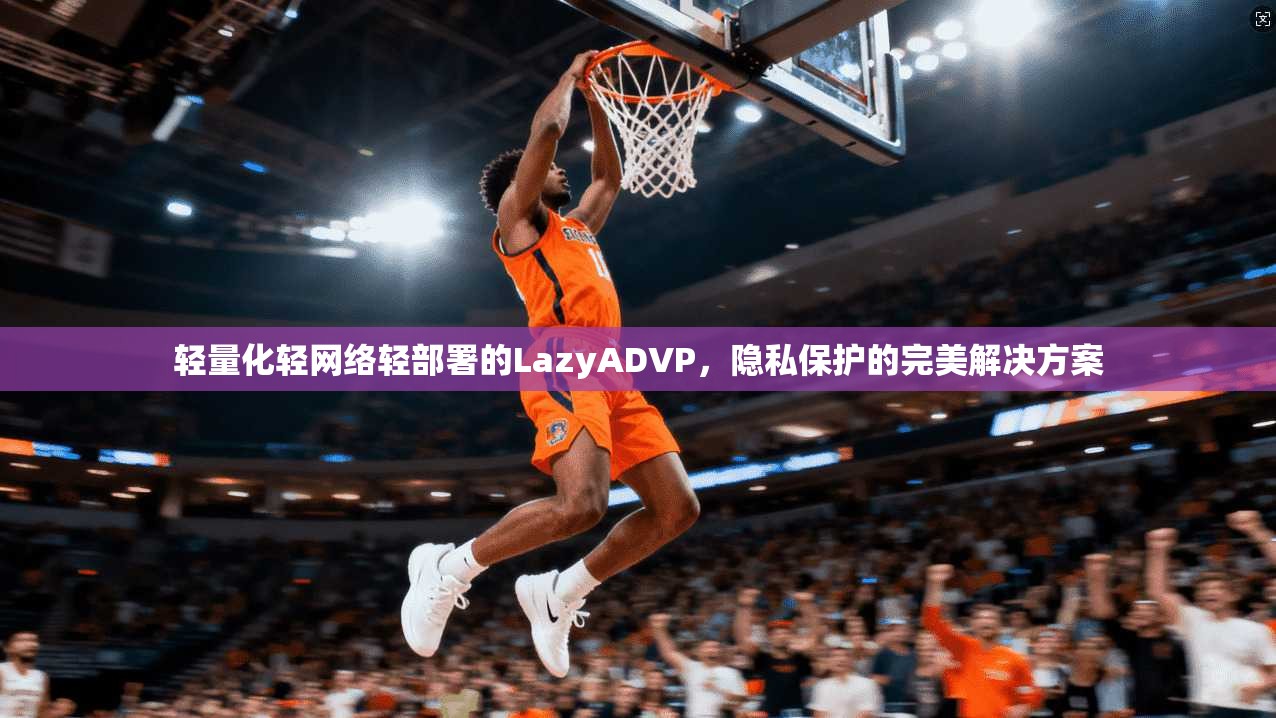 轻量化轻网络轻部署的LazyADVP,隐私保护的完美解决方案