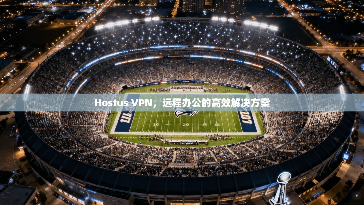 Hostus VPN，远程办公的高效解决方案
