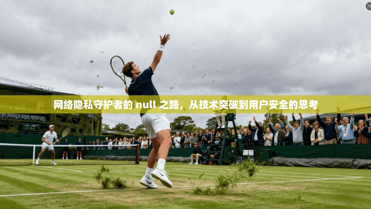 网络隐私守护者的 null 之路,从技术突破到用户安全的思考
