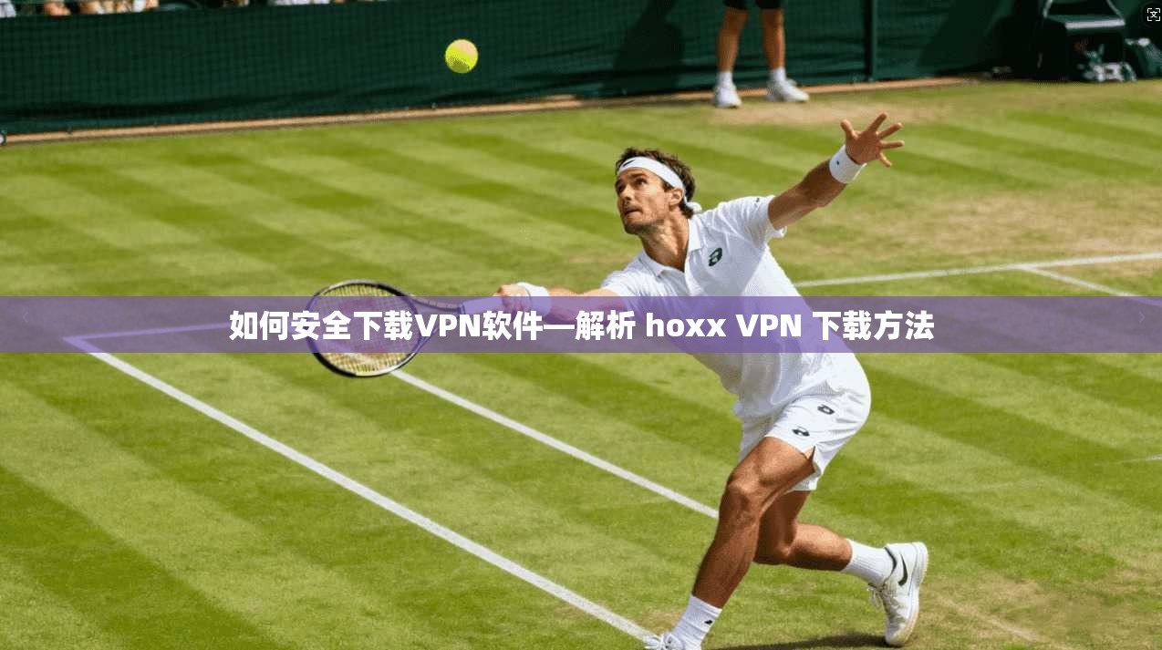 如何安全下载VPN软件—解析 hoxx VPN 下载方法
