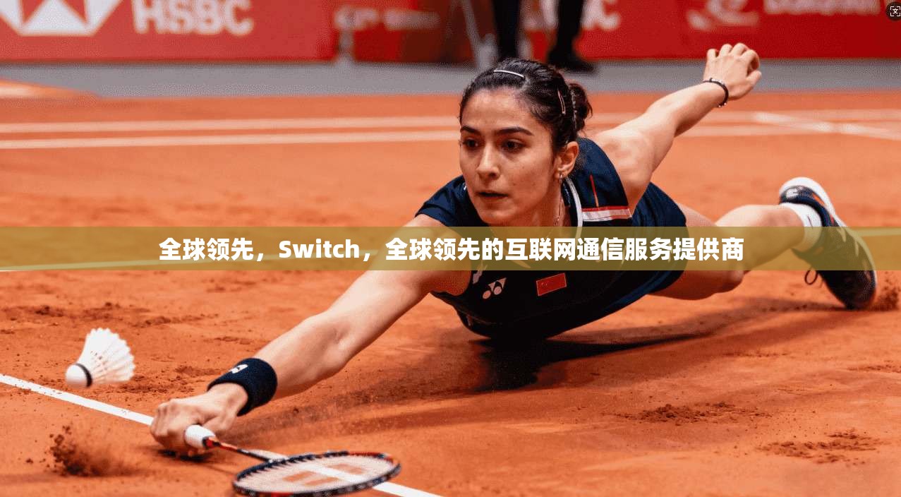 全球领先，Switch，全球领先的互联网通信服务提供商