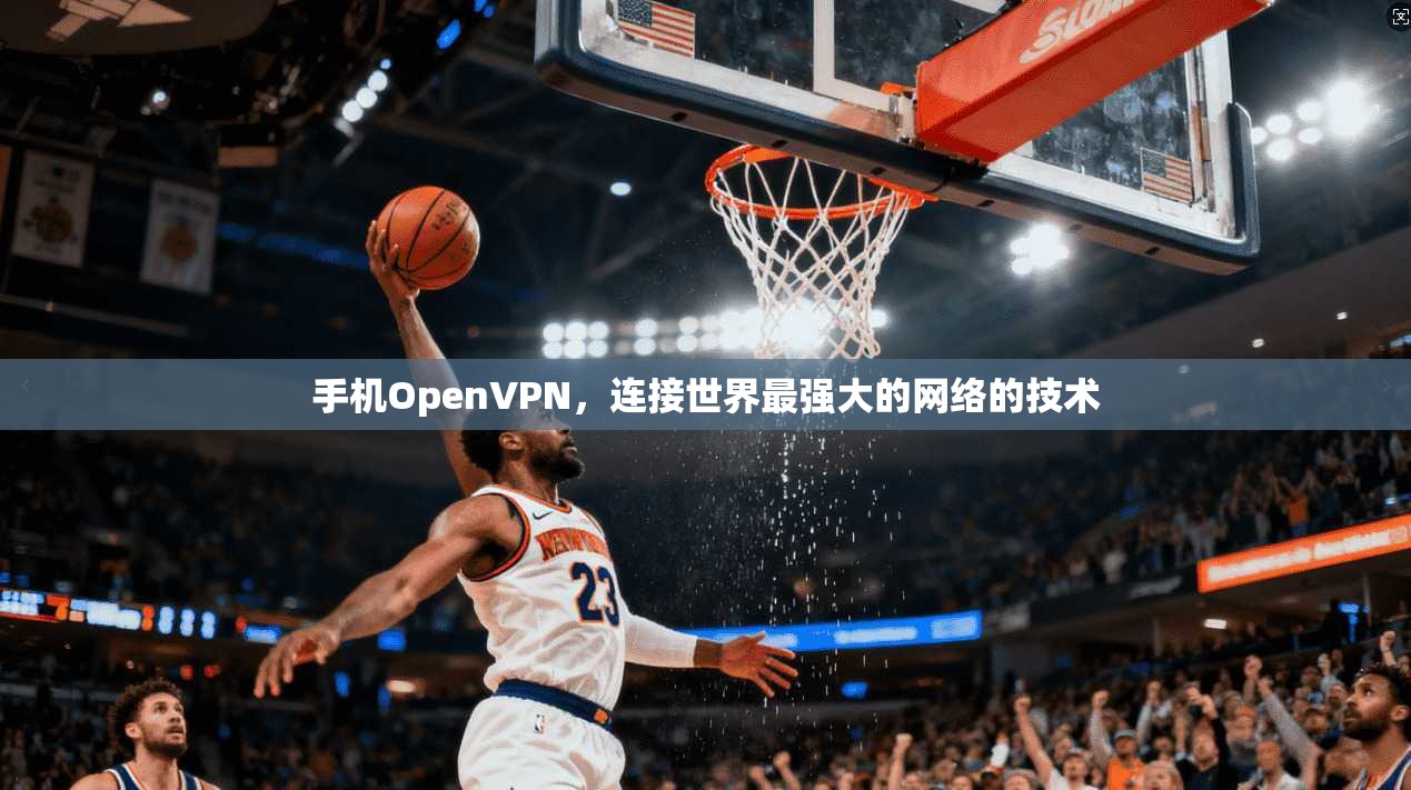 手机OpenVPN,连接世界最强大的网络的技术